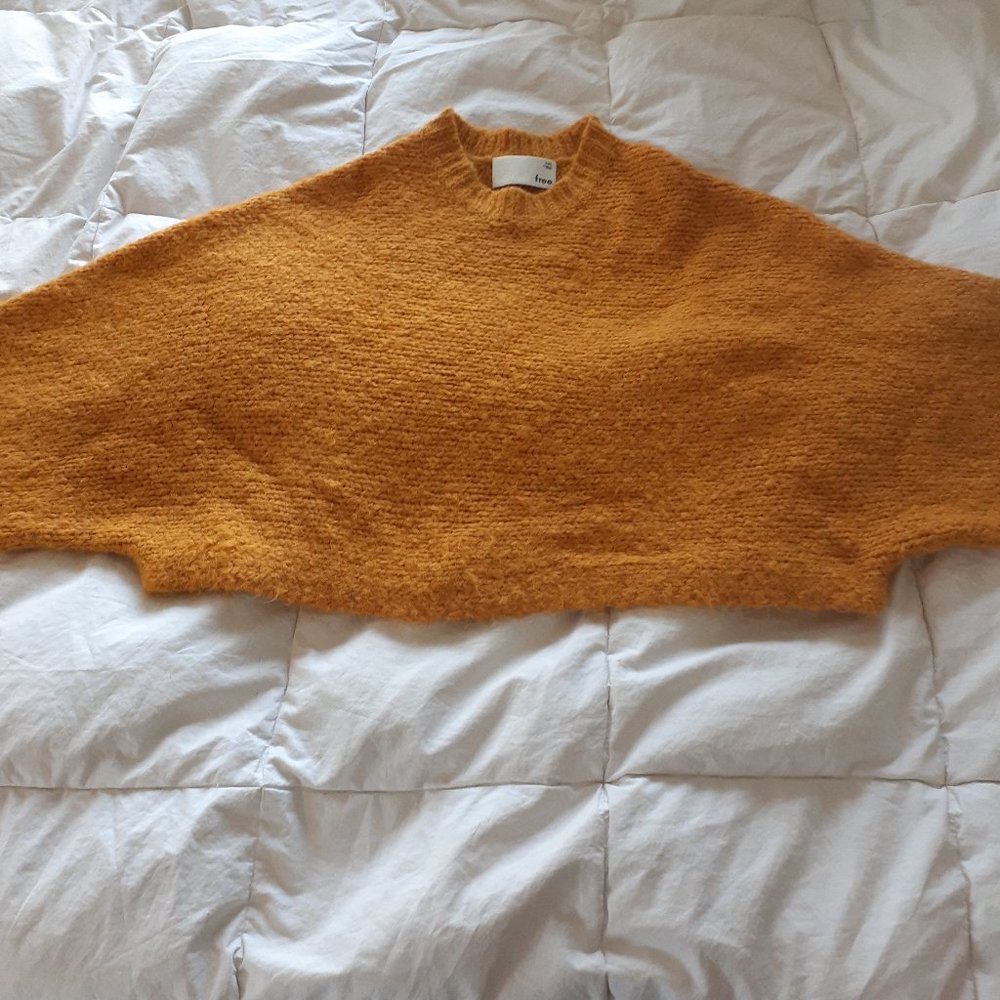 Aritzia Sweater
